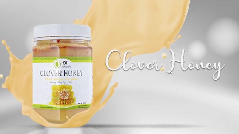 Jual Madu Clover Honey di bekasi